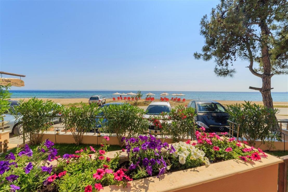 Studio Nikiti Beach Εξωτερικό φωτογραφία