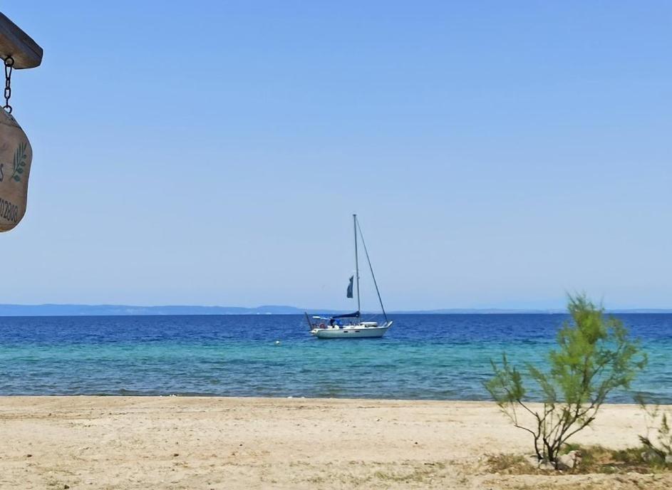 Studio Nikiti Beach Εξωτερικό φωτογραφία